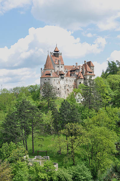 istock Dracula's Bran Castle in spring season portrait view 146823763