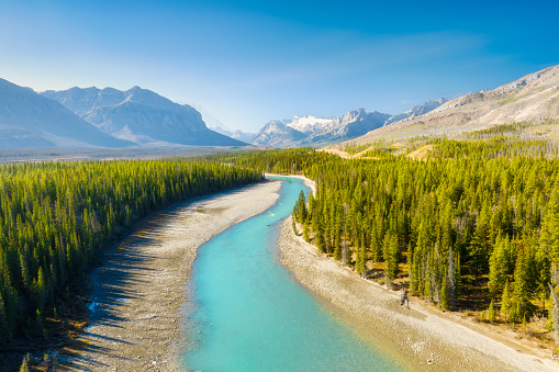 A drone view of the river in the mountains valley. An aerial view of an autumn forest. Winding river among the trees. Turquoise mountain water. Landscape with soft light before sunset.