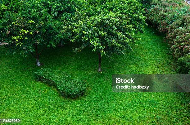 Prato Con Albero - Fotografie stock e altre immagini di Albero - Albero, Ambientazione esterna, Ambientazione tranquilla