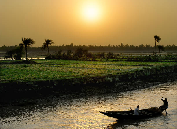 A small boat at sunset in the Ganges Delta in Bangladesh stock photo