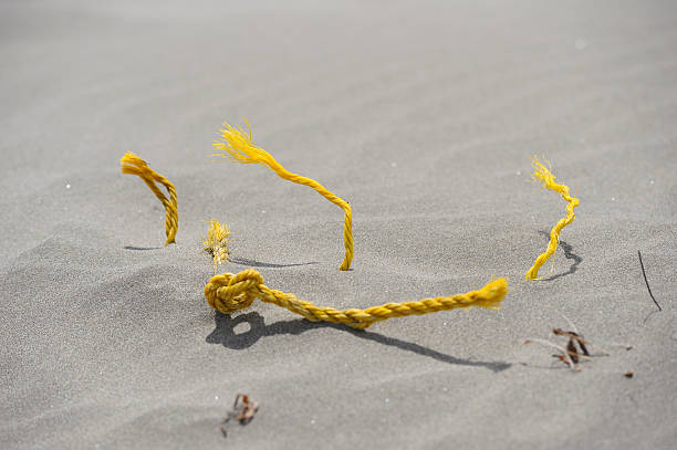 istock Frayed Piece of Yellow Rope in the Sand 146824146