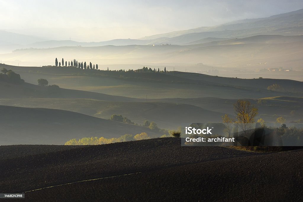 Misty dawn view at early morning in Val d'Orcia, Misty dawn view at early morning, Val d'Orcia, UNESCO World Heritage Site, San Quirico d'Orcia, aurora, Aurora Polaris Stock Photo