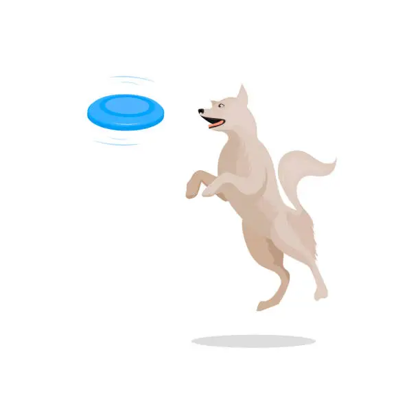 Vector illustration of Jumping dog is catching a blue frisbee disc ,Vector illustration