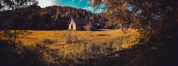 istock An old barn stands on a clearing in the middle of a forest 1468245086