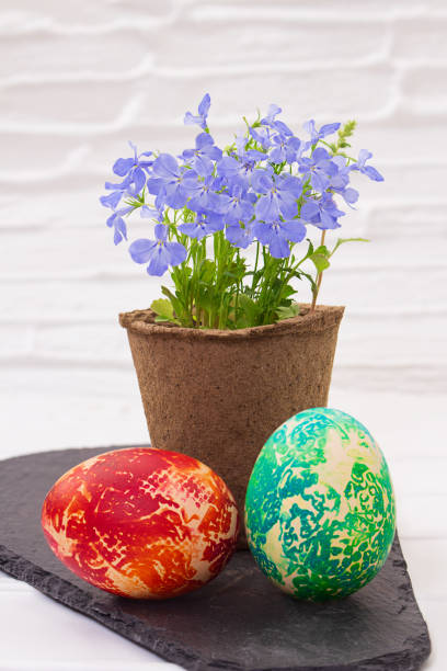 Colorful Easter eggs in the garden between early bloomers