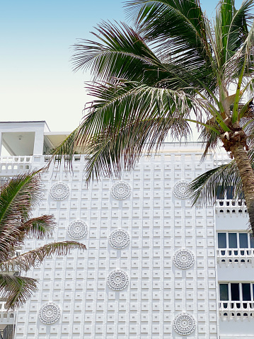 Looking up to palm tree and an art deco building detail