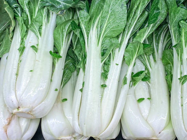 Bok Choy