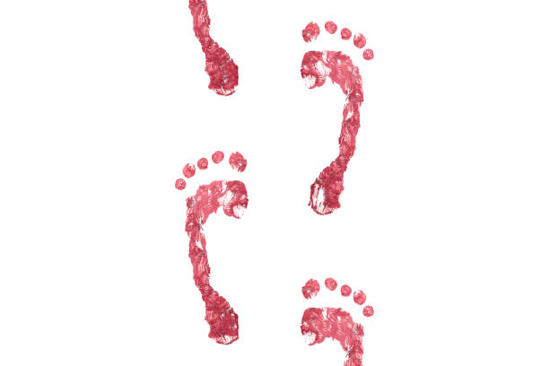 Kid foot prints red color set isolated on white background. Many fingerprint or stamp texture artwork of kids for education and journey. Bottom view. Close up.