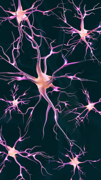istock 3D rendering of neural cell images 1468251744
