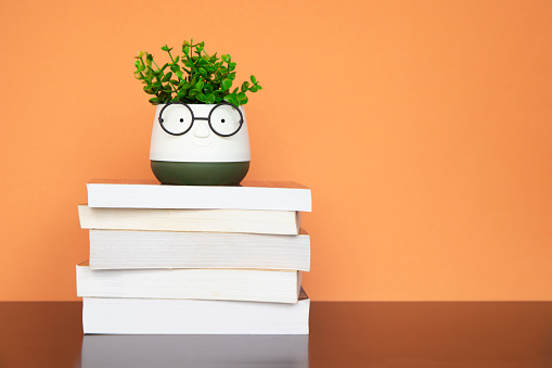 Books and plant with glasses