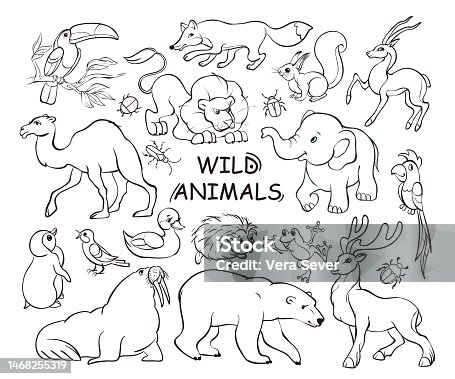 istock Set of wilde animals doodles, hand drawn icon illustrations on white background. Banner traditional sketch line art style. Vector cartoon isolated illustration. 1468255319