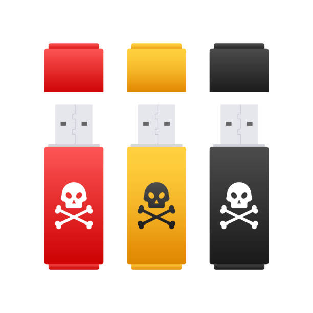 illustrations, cliparts, dessins animés et icônes de virus informatique sur la carte usb flash. protection contre les virus. illustration vectorielle de stock. - computer bug flash