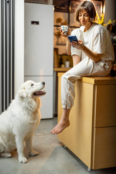 istock Woman with her dog on kitchen during a morning time 1468260738
