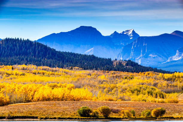 istock Payne Lake Provincial Recreation Area Cardston County Alberta Canada 1468260761