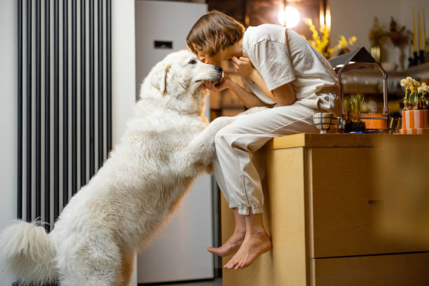 istock Woman plays with her dog on kitchen at home 1468262086