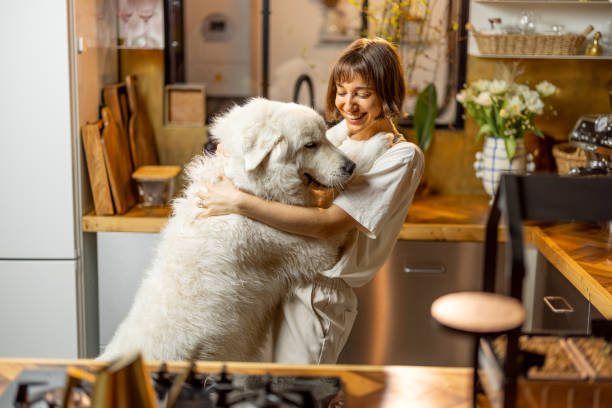 Woman plays with her dog on kitchen at home