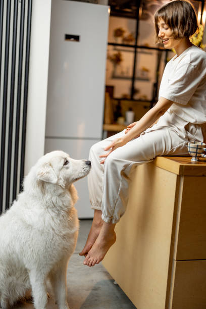 istock Woman plays with her dog on kitchen at home 1468262861