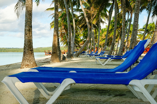 Blue and white sun-loungers on beach in shae of grove cocnut palms by waters edge.