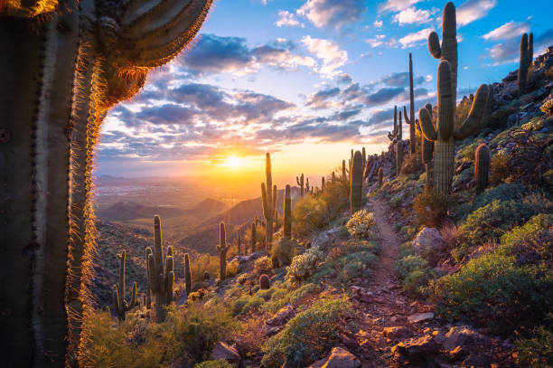 Tom's Thumb trail leads through beautiful Sonoran Desert mountain landscape towards an awesome sunset in The McDowell Sonoran Preserve stock photo