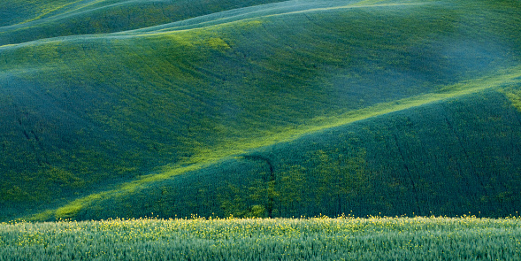 View of the green fields lit by the rays of the sun. VAL D’ORCIA