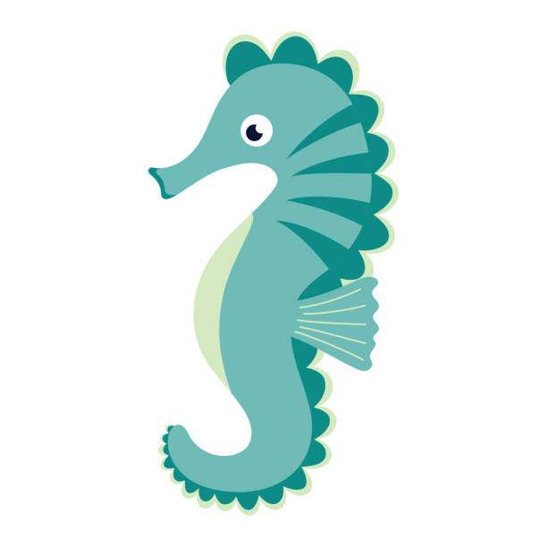 flat vector illustration of seahorse isolated on white vector art illustration