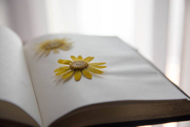 istock Yellowl Dry flowers On Paper book. 1468272578