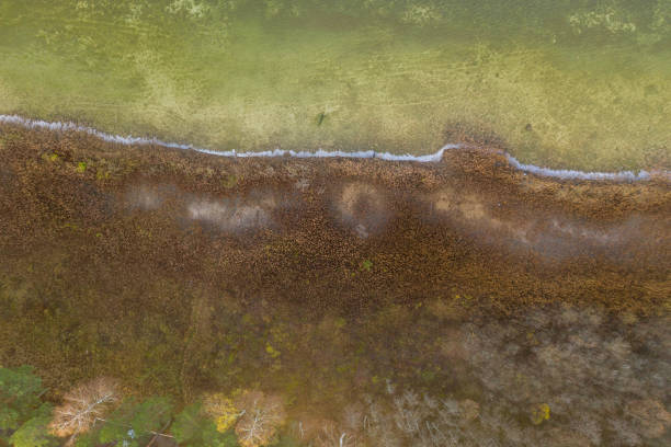 istock Drone photography of 1468272689