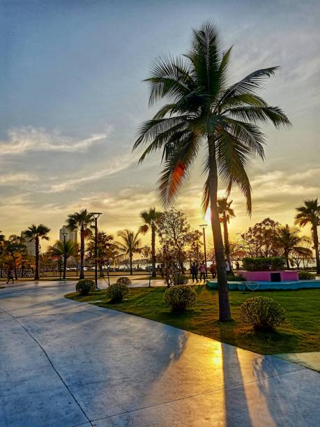 istock Evening lights at the park 1468274793