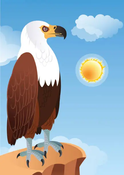 Vector illustration of African Fish-Eagle, Haliaeetus Vocifer