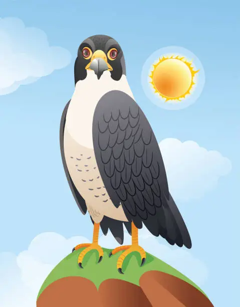 Vector illustration of Peregrine Falcon