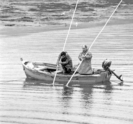 Pontedeume, Spain_May 12, 2010: Fishermen picking up shellfish with  rakes from traditional fishing motorboat. Galicia, Spain.