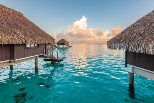 luksusowe bungalowy nad wodą w tropikalnej lagunie wyspy moorea. - polynesia bungalow beach sunrise zdjęcia i obrazy z banku zdjęć