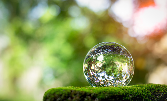 Creative ideas of earth day or save energy and environment. Crystal ball sign for sustainable plant.