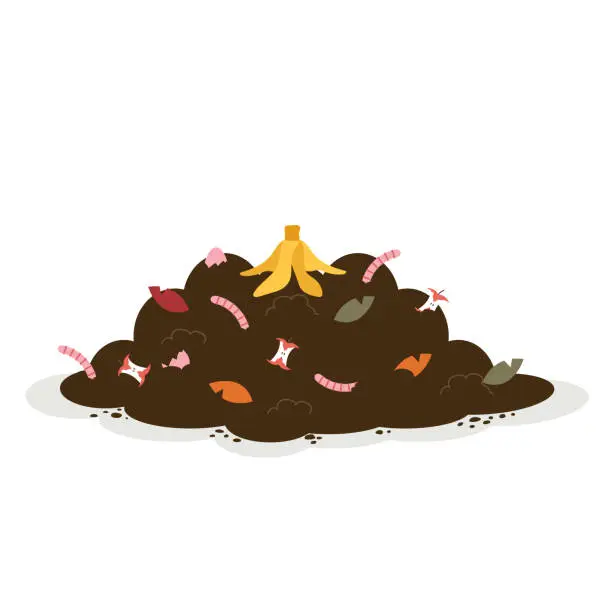 Vector illustration of Compost