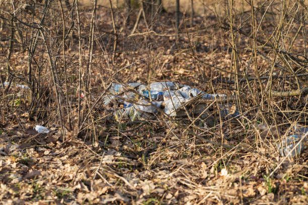 istock Unauthorized landfill. Discarded garbage on the edge of the forest. 1468291485