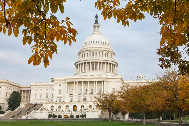 istock United States Capitol Building, Washington DC 1468291644