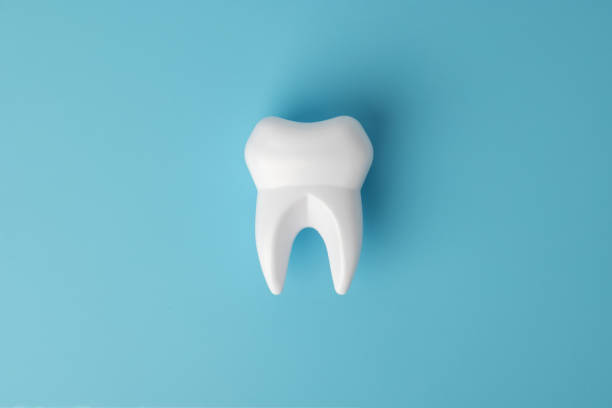 istock White healthy tooth model on blue background with copy space 1468292748