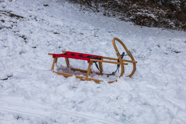 istock Winter landscape with snow. Beautiful park with trees 1468298054