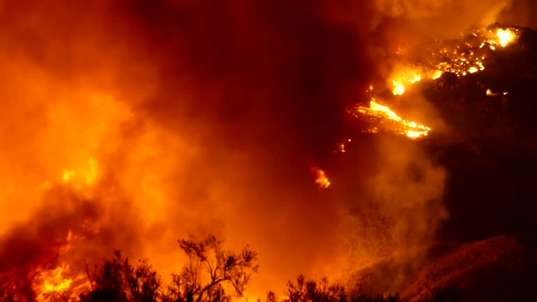 Massive forest fire at night in California.