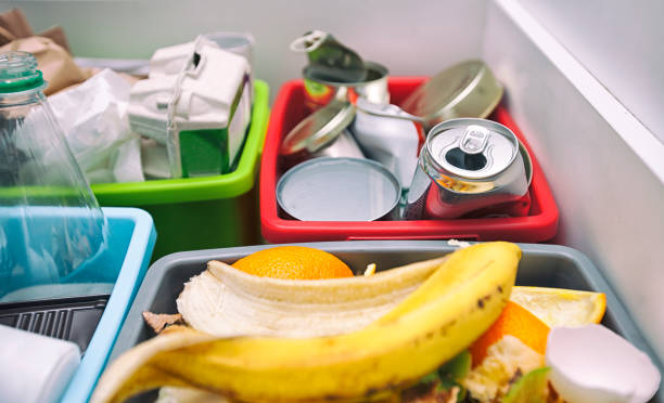 istock The four different container for sorting garbage. For plastic, paper, metal and organic waste 1468299775