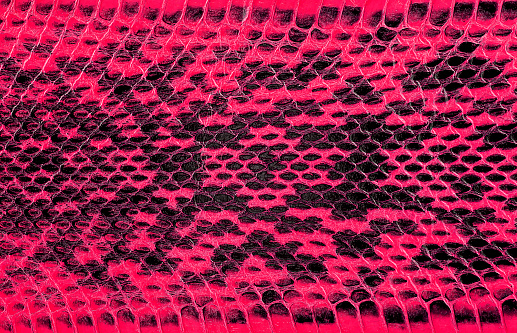 Pink python leather, skin texture for background. Natural reptile leather.