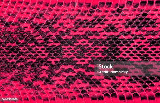 Pink Python Leather Skin Texture For Background Natural Reptile Leather ...