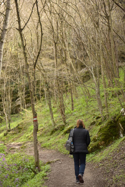 istock A long walk in the forest is just what I needed 1468303060