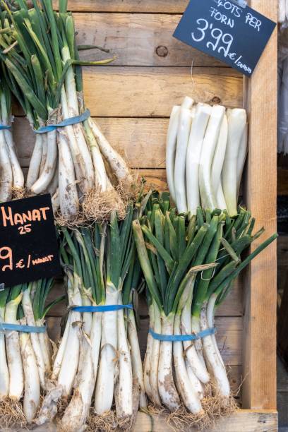 traditional catalan cuisine: delicious grilled calçots with rustic romesco sauce - fine dining grilled spring onion healthy lifestyle imagens e fotografias de stock