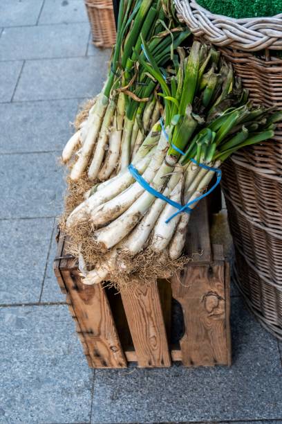 traditional catalan cuisine: delicious grilled calçots with rustic romesco sauce - fine dining grilled spring onion healthy lifestyle imagens e fotografias de stock