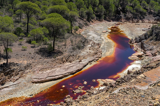 Landscape with the Tinto (red) river taht flows through pine forest and originates in the Riotinto mines. Huelva, Andalucia, Spain.