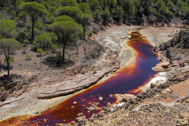 landscape with the tinto (red) river taht flows through pine forest and originates in the riotinto mines. huelva, andalucia, spain. - red river imagens e fotografias de stock