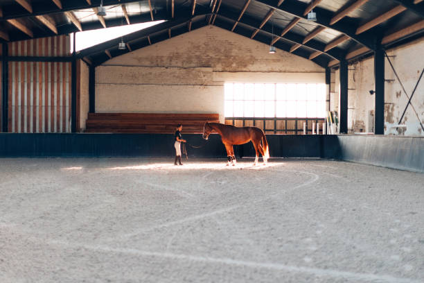 istock educator in the equine center with horse 1468305078