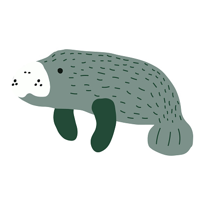 Manatee. Scandinavian style under sea. Save the manatee concept. Character design. Vector illustrations isolated on white background.
