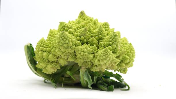 istock Green romanesco broccoli  on white background 1468311989